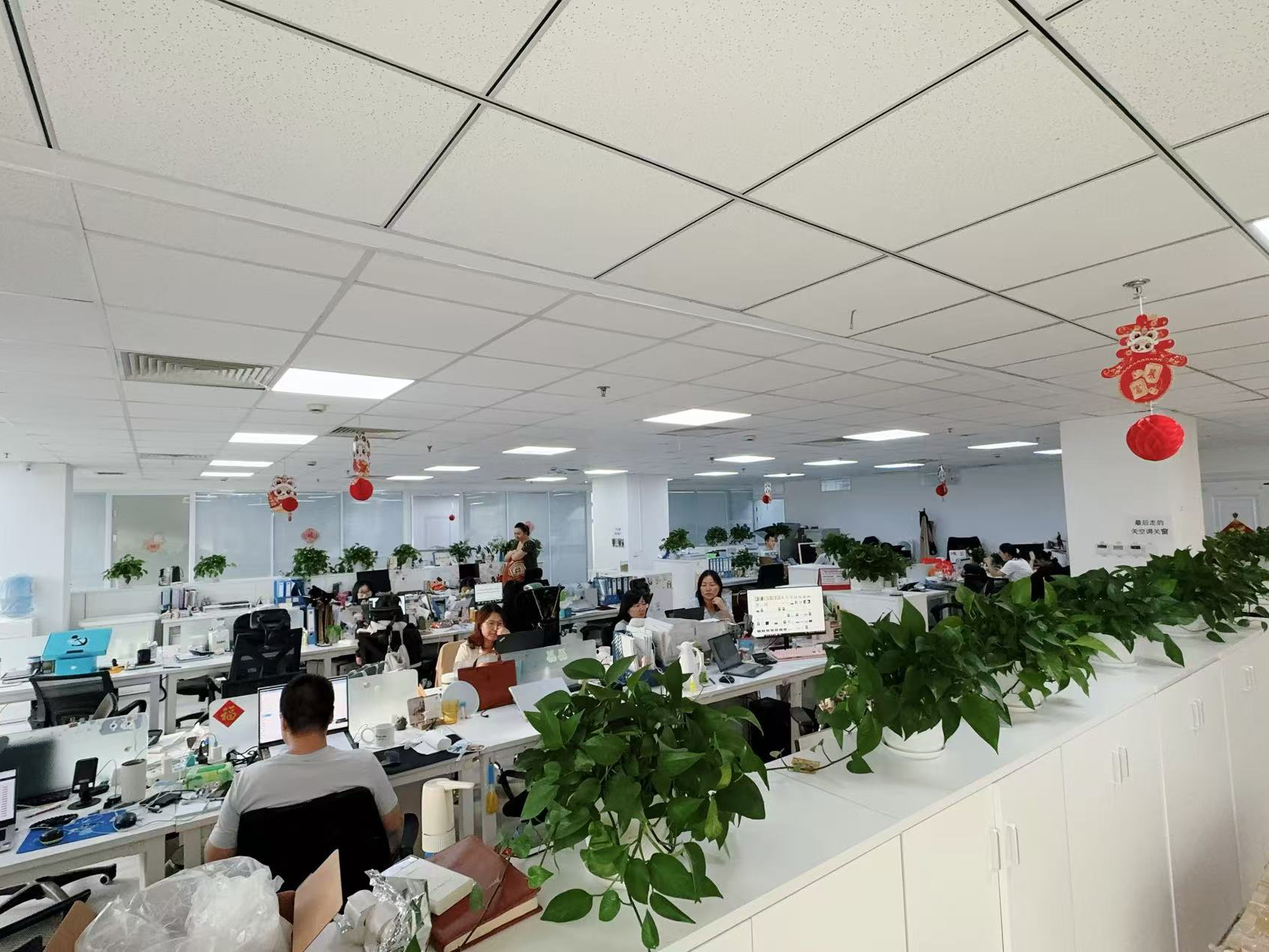 중국 Hong Kong Starsurge Group Co., Limited 회사 프로필