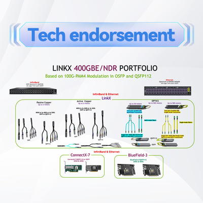 멜라녹스 케이블 MFP7E20-N010 멀티모드 MPO-12/APC에서 2x MPO-12/APC 수동 섬유 케이블, 10m