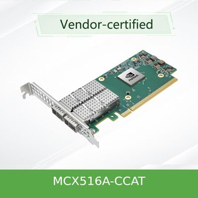 NVIDIA MCX516A-CCAT 듀얼 포트 100GbE 이더넷 어댑터